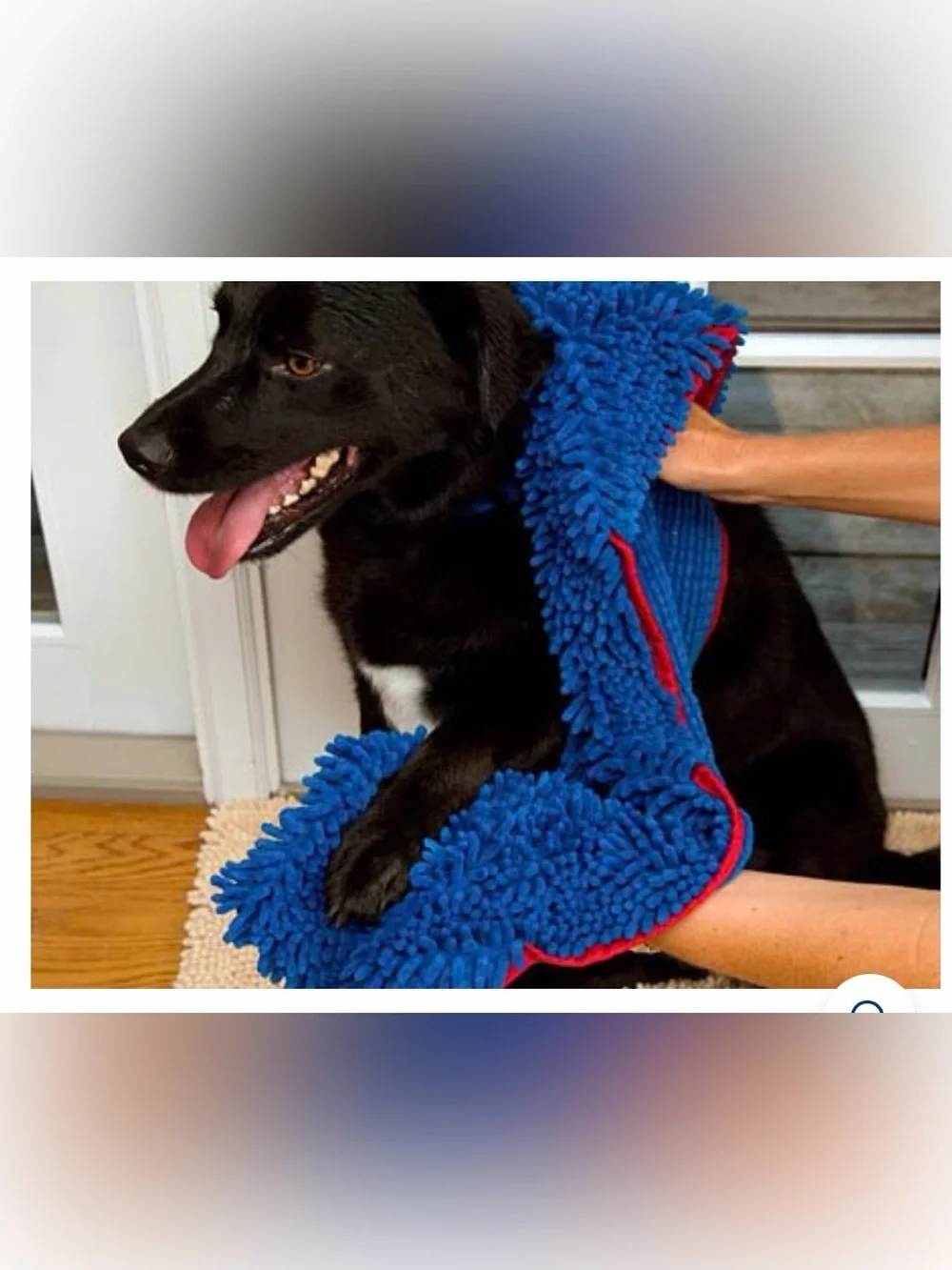 Blue Dog Bath & Dry Microfiber Chenille Towel - SoggyDoggy